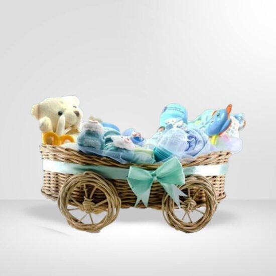 Baby Hampers 13